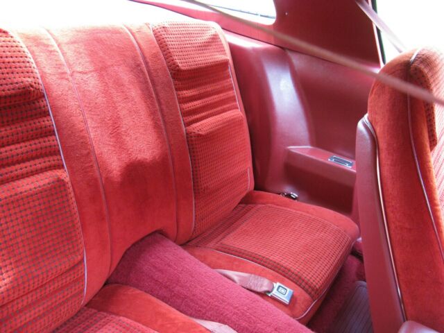 1979 Pontiac Trans Am - photo 8