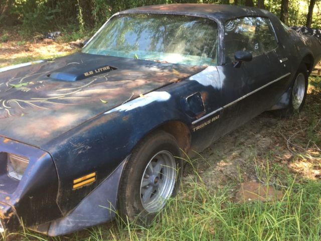 1979 Pontiac Trans Am - photo 13