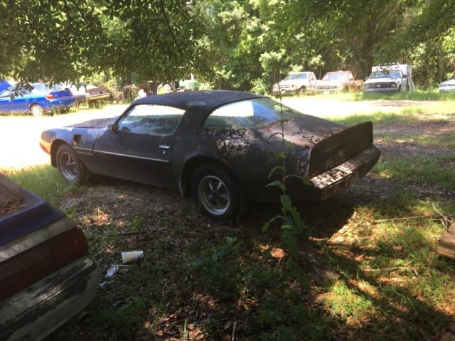 1979 Pontiac Trans Am - photo 3