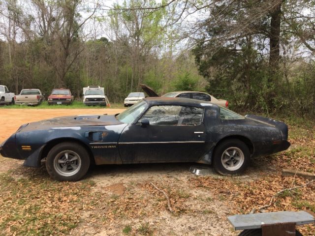 1979 Pontiac Trans Am - photo 5