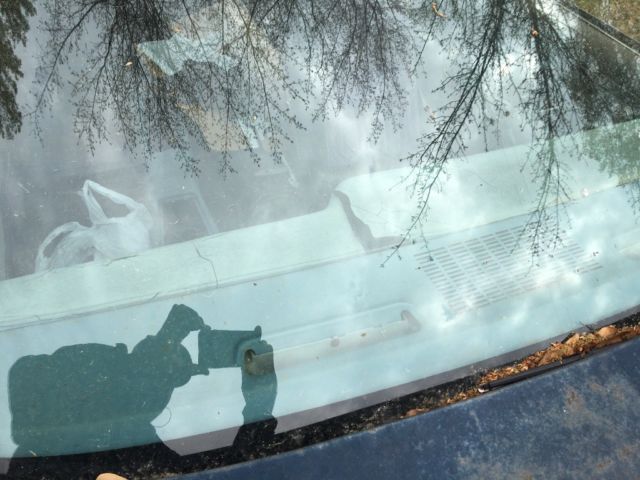 1979 Pontiac Trans Am - photo 8