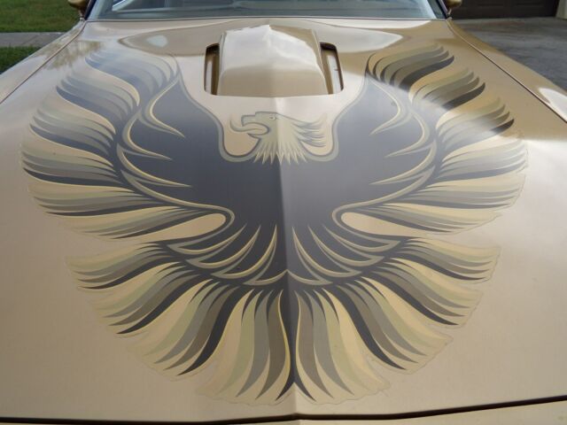 1979 Pontiac Trans Am