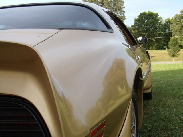 1979 Pontiac Trans Am - photo 10
