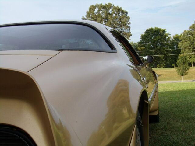 1979 Pontiac Trans Am - photo 11