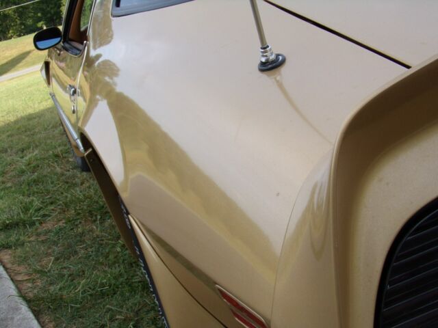 1979 Pontiac Trans Am - photo 2