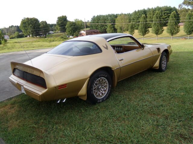 1979 Pontiac Trans Am - photo 3