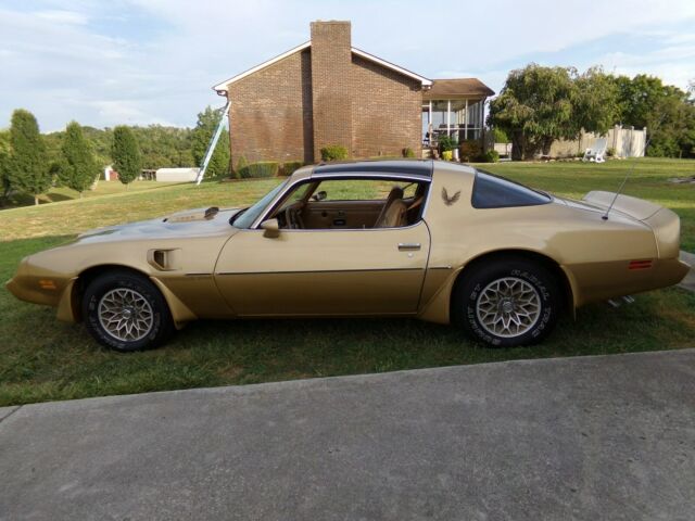 1979 Pontiac Trans Am - photo 9