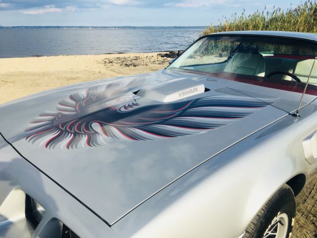 1979 Pontiac Trans Am TA - photo 9