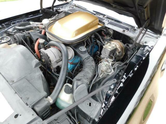 1979 Pontiac Trans Am MACHO DKM #92 - photo 10