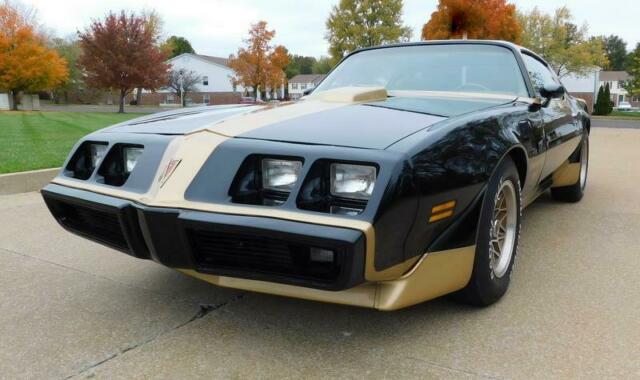1979 Pontiac Trans Am MACHO DKM #92 - photo 12