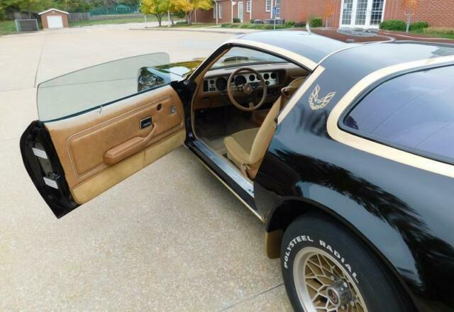 1979 Pontiac Trans Am MACHO DKM #92 - photo 5