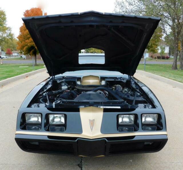 1979 Pontiac Trans Am MACHO DKM #92 - photo 9