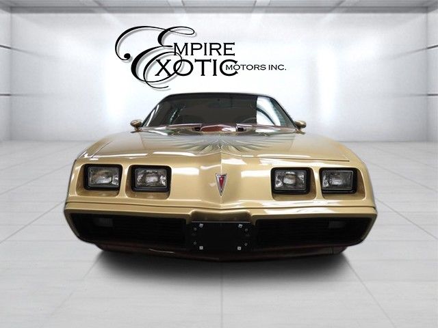 1979 Pontiac Trans Am #56 Macho Edition DKM Macho - photo 2