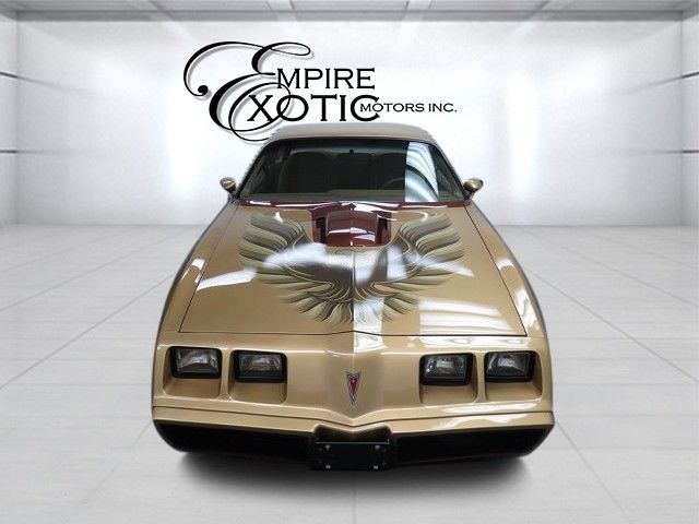 1979 Pontiac Trans Am #56 Macho Edition DKM Macho - photo 3