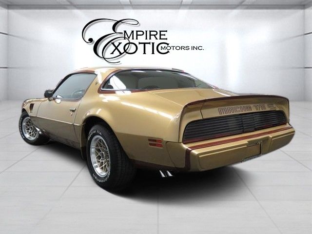 1979 Pontiac Trans Am #56 Macho Edition DKM Macho - photo 4