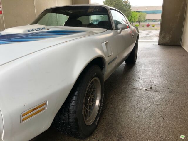 1979 Pontiac Trans Am - photo 12