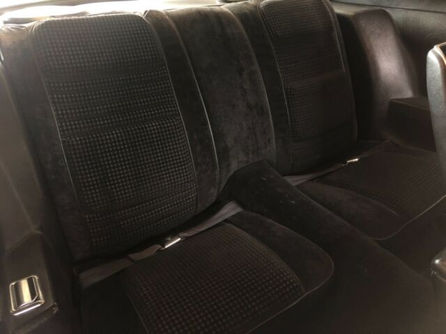 1979 Pontiac Trans Am - photo 6
