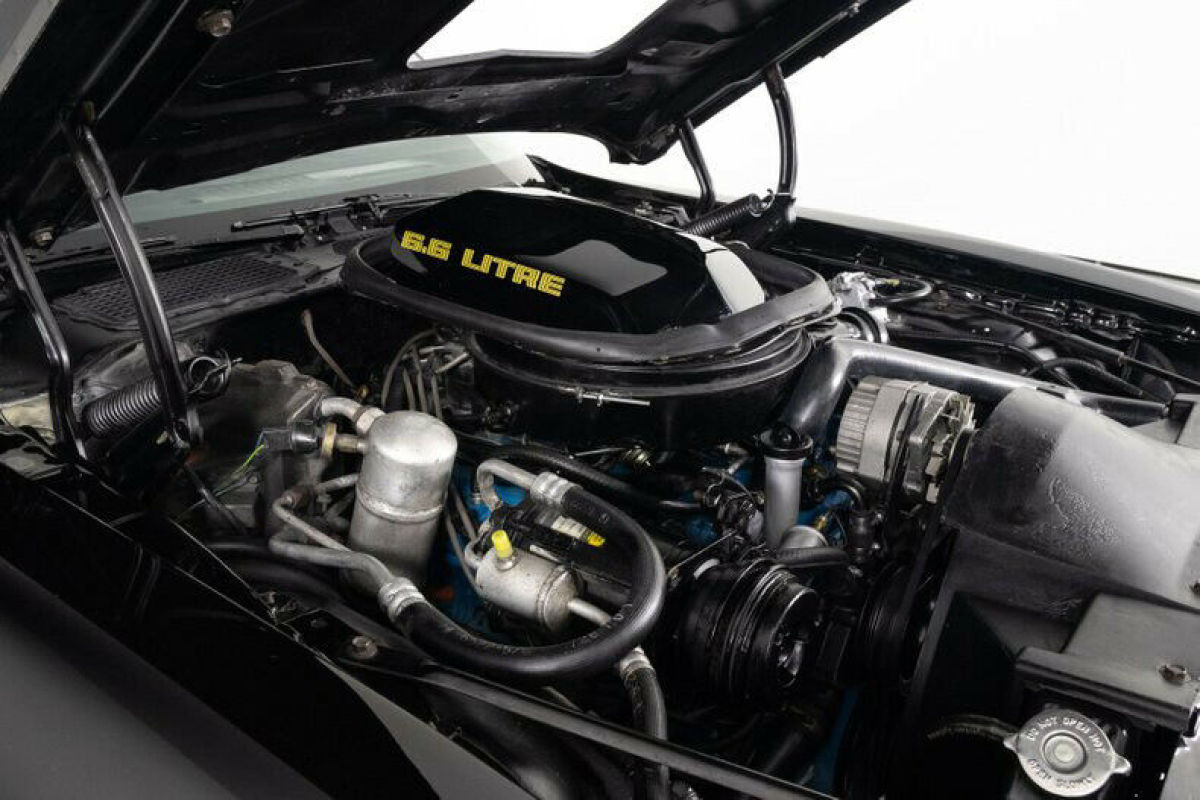 1979 Pontiac Trans Am Trans Am - photo 3