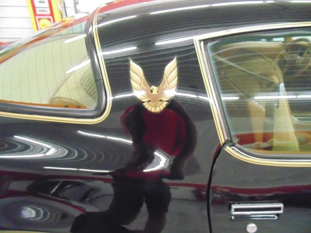 1979 Pontiac Trans Am - photo 10