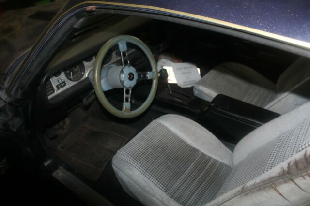 1979 Pontiac Trans Am 2-door coupe - photo 9