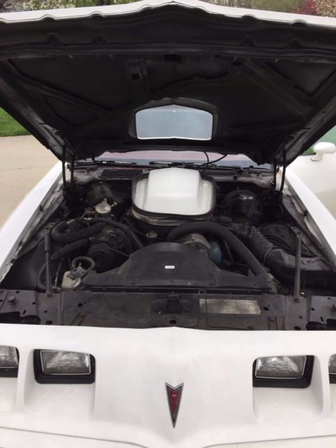 1979 Pontiac Trans Am - photo 6