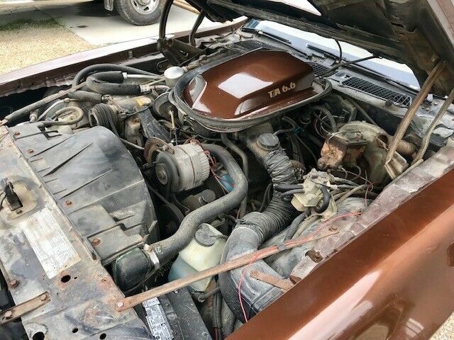 1979 Pontiac Trans Am NO RESERVE ONE OWNER! Original! AC! VIDEO - photo 6