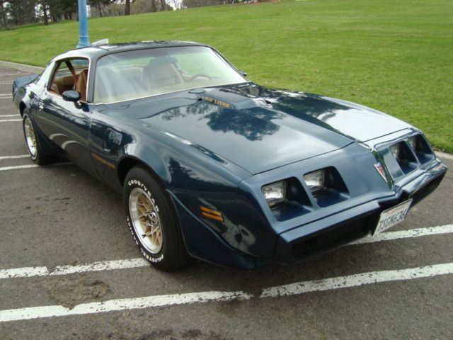 1979 Pontiac Trans Am - photo 11