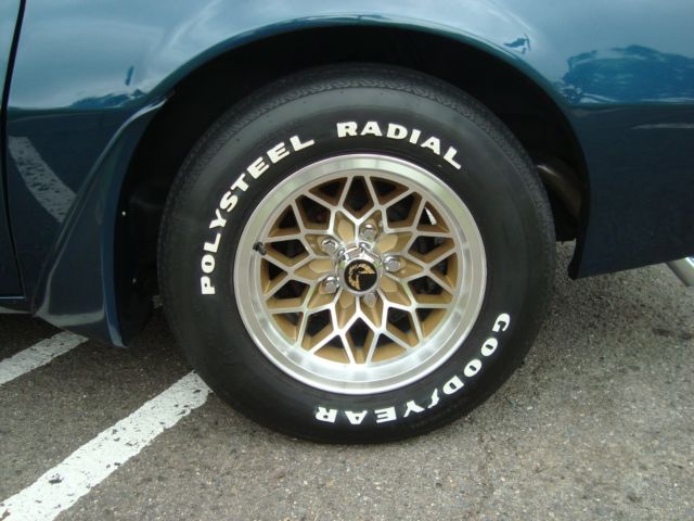 1979 Pontiac Trans Am - photo 13
