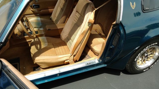 1979 Pontiac Trans Am - photo 13