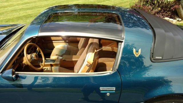 1979 Pontiac Trans Am - photo 8