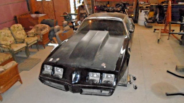 1979 Pontiac Trans Am - photo 2