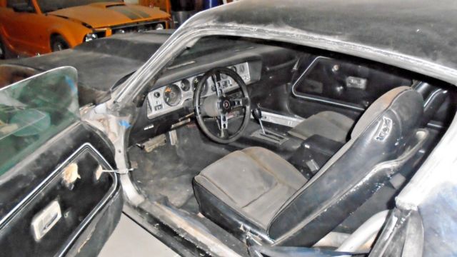 1979 Pontiac Trans Am - photo 9