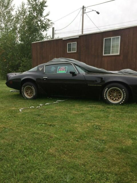 1979 Pontiac Trans Am ws4 - photo 11