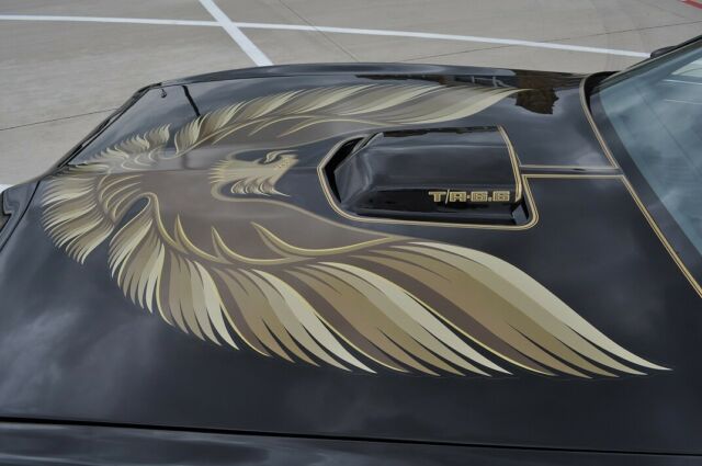 1979 Pontiac Trans Am Smokey and the bandit T-Top - photo 12