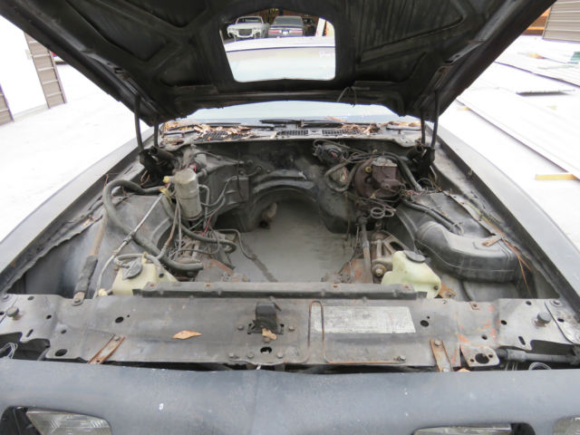 1979 Pontiac Trans Am - photo 4