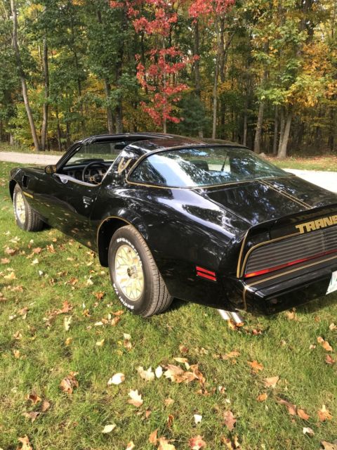 1979 Pontiac Trans Am trans am, t-top - photo 12