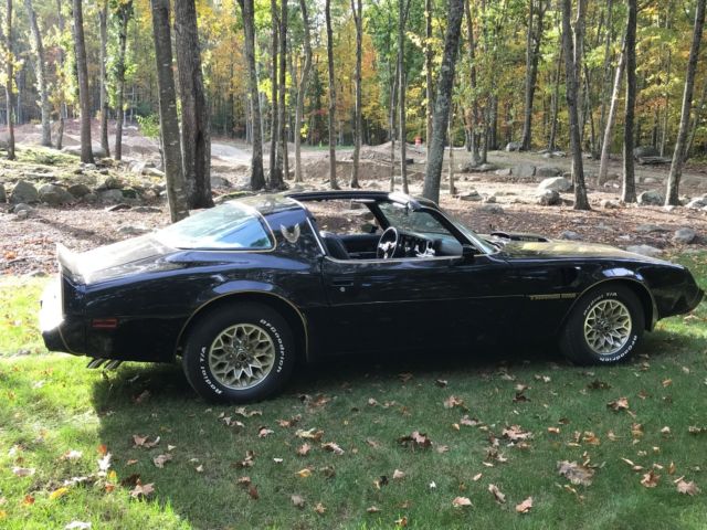 1979 Pontiac Trans Am trans am, t-top - photo 13