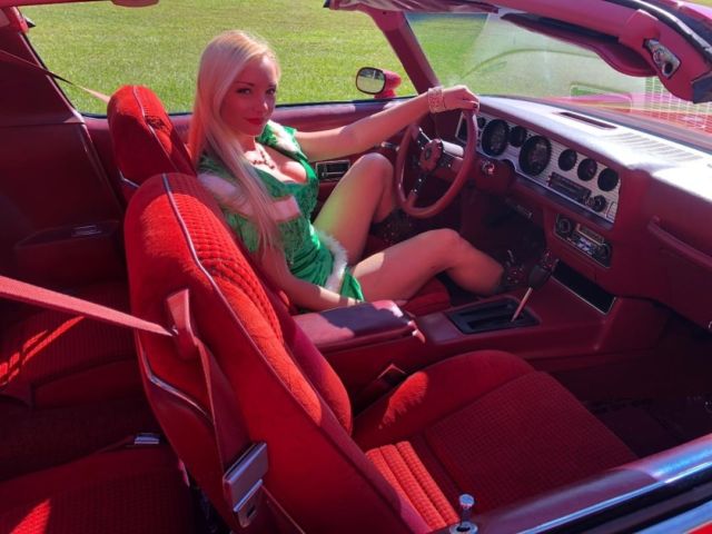1979 Pontiac Trans Am - photo 2