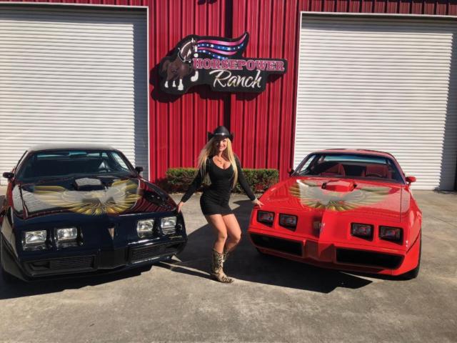 1979 Pontiac Trans Am - photo 3