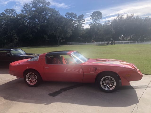 1979 Pontiac Trans Am - photo 8