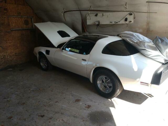 1979 Pontiac Trans Am - photo 3