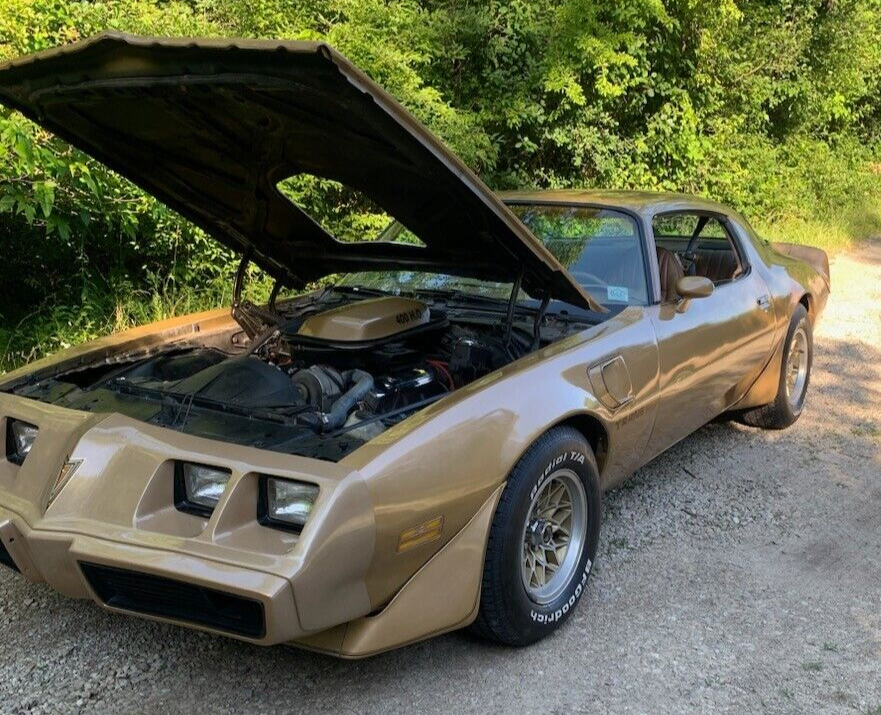 1979 Pontiac Trans Am - photo 10
