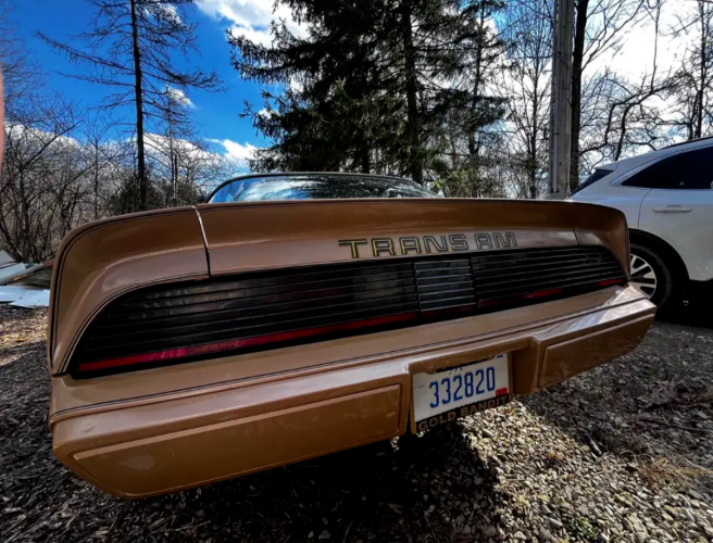 1979 Pontiac Trans Am - photo 11