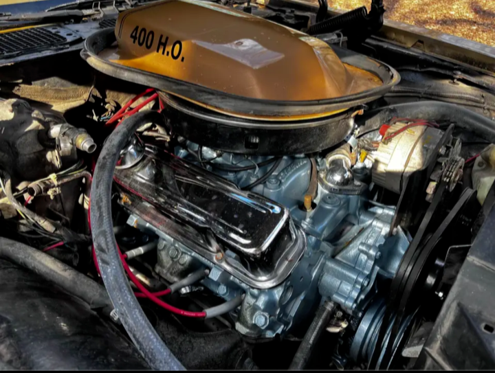 1979 Pontiac Trans Am - photo 13