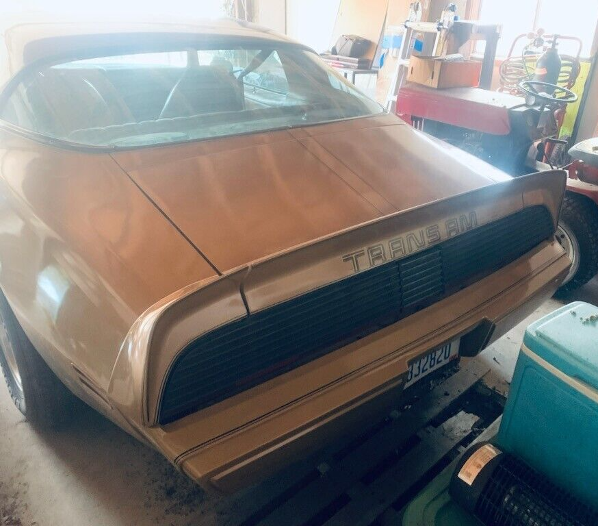 1979 Pontiac Trans Am - photo 3