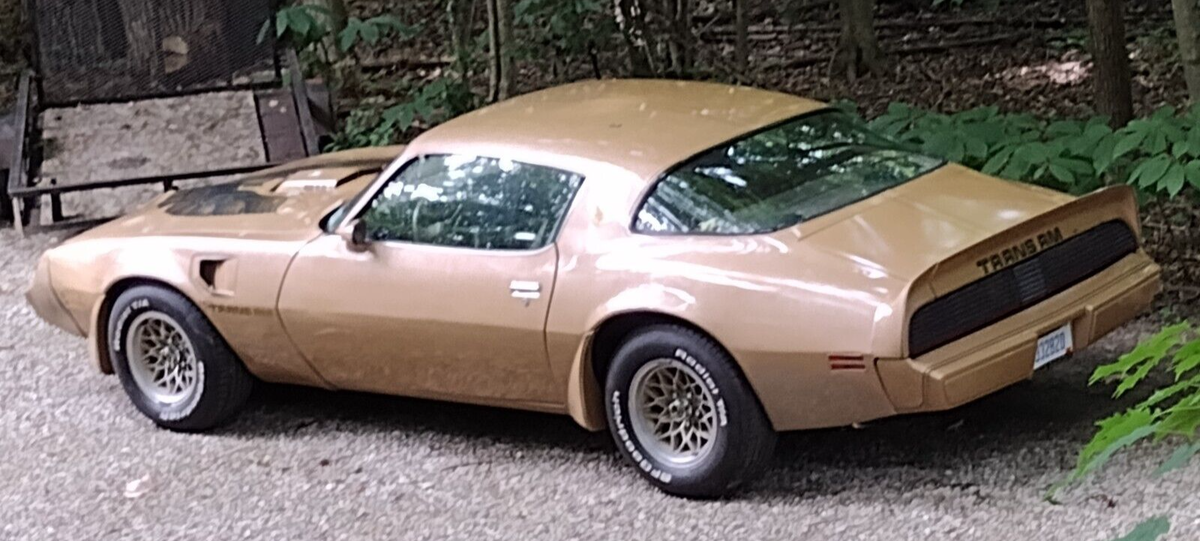 1979 Pontiac Trans Am - photo 4