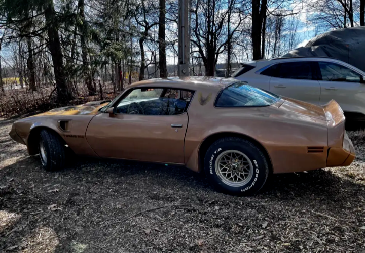 1979 Pontiac Trans Am - photo 5