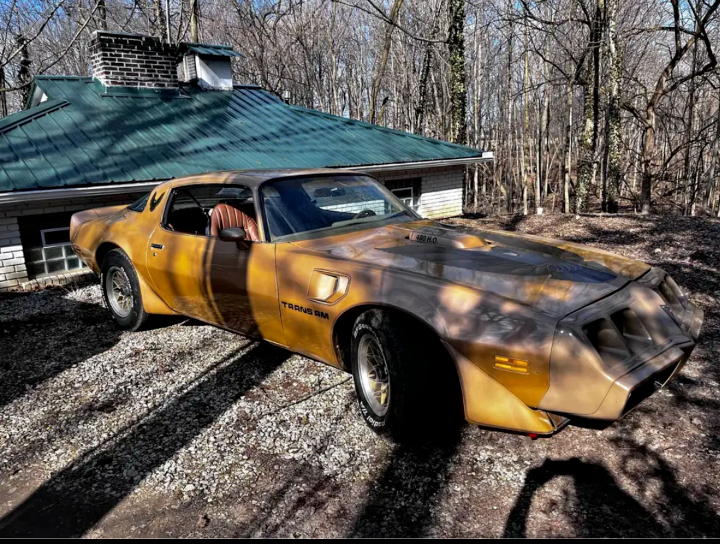 1979 Pontiac Trans Am - photo 6