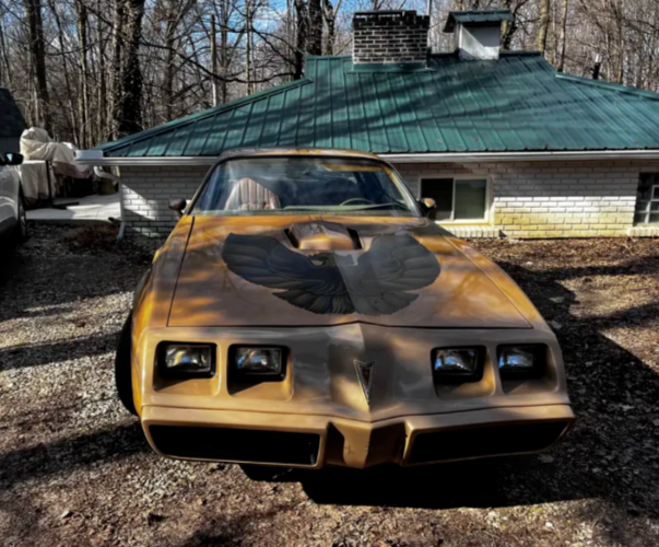 1979 Pontiac Trans Am - photo 8