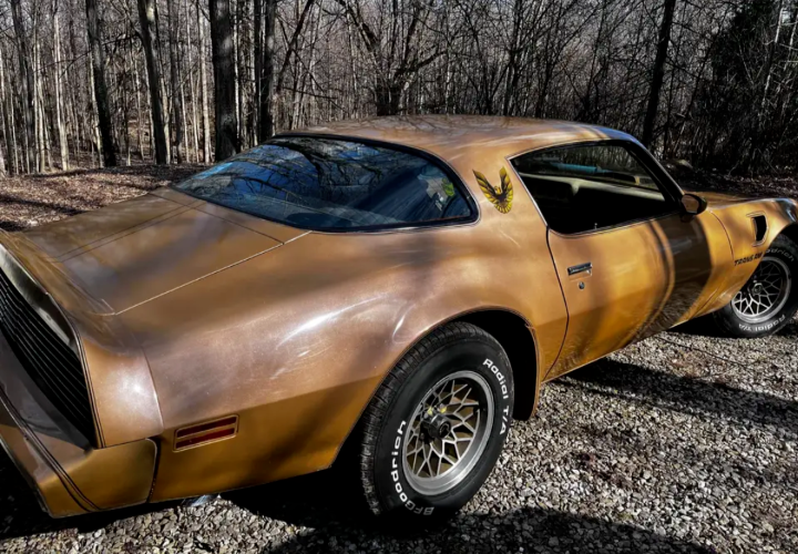 1979 Pontiac Trans Am - photo 9